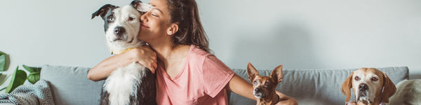 Best gifts for pet a lovers featuring custom pet accessories and keepsakes