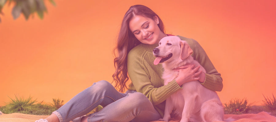 Gift ideas for pet lovers - fun and functional presents for pet owners