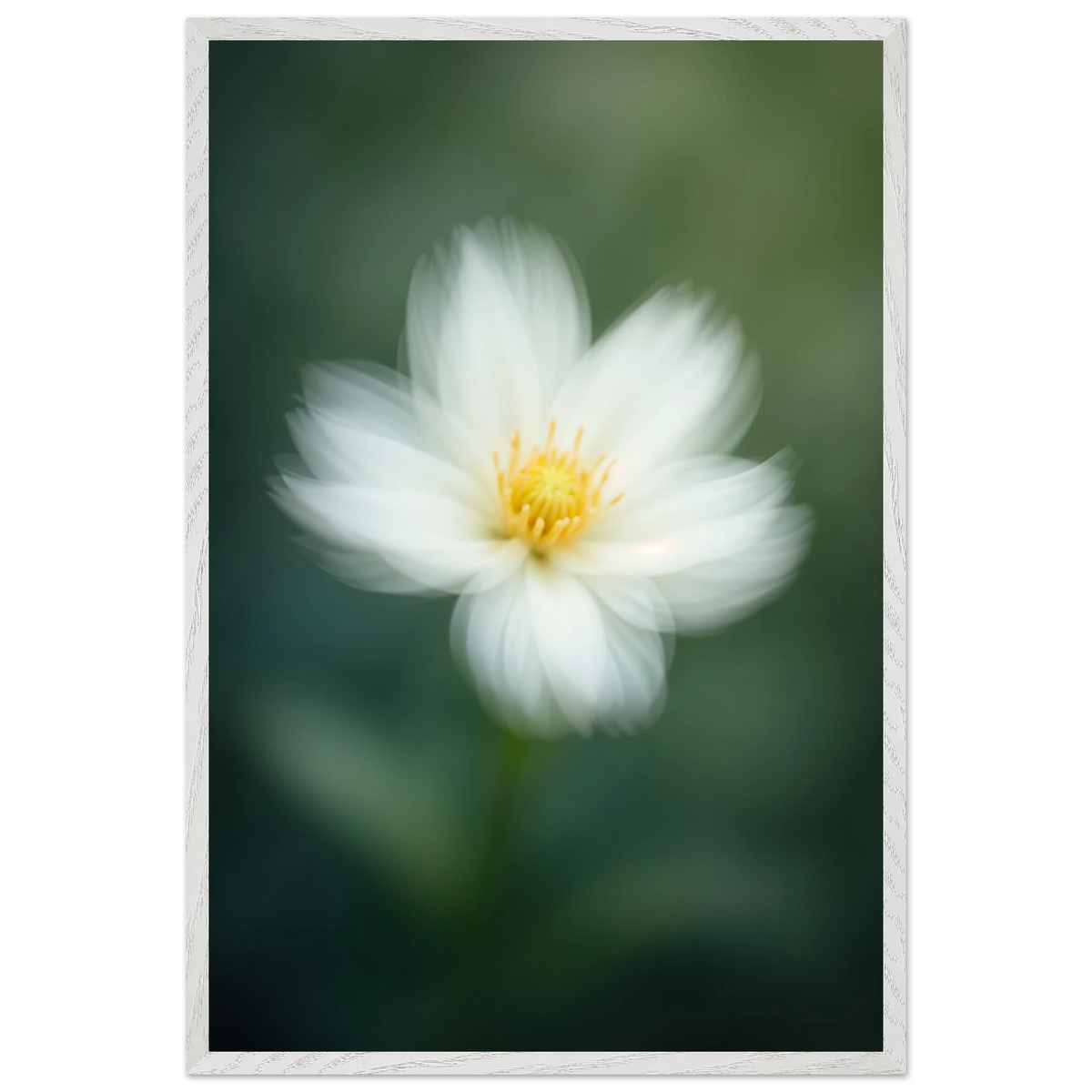 Gentle Bloom – Framed Art Gift - - Wooden Framed Posters
