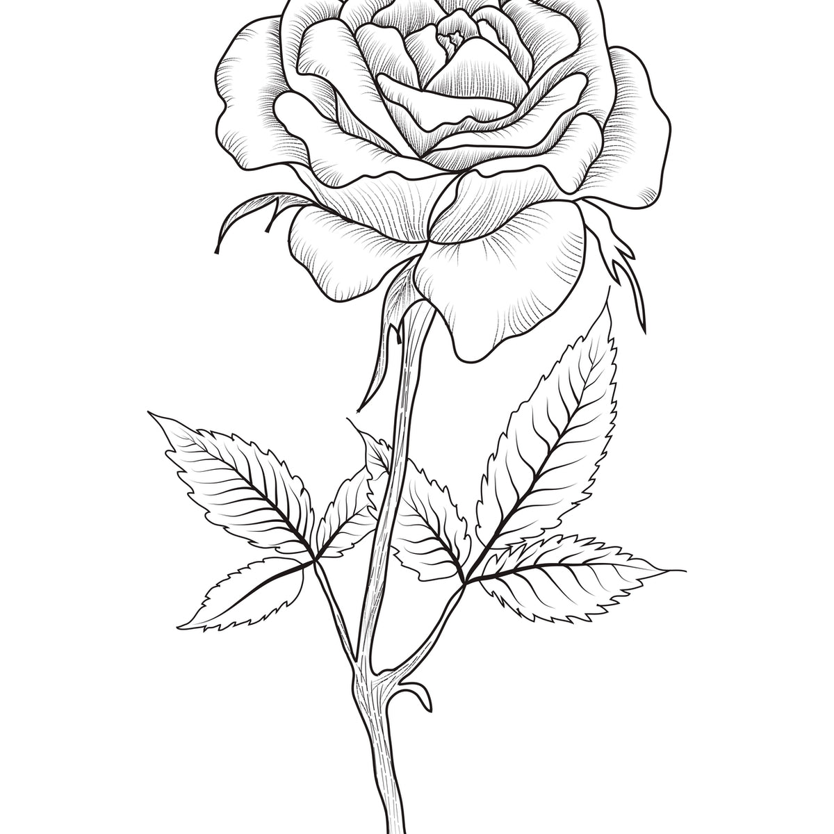 Botanical Whispers in Ink – Wooden-Framed Poster - - Wooden Framed Posters