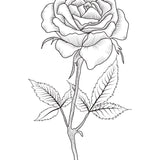 Botanical Whispers in Ink – Wooden-Framed Poster - - Wooden Framed Posters