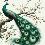 Peacock Elegance on Display - - Framed Posters