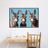 Laughter with Three Donkeys - - Framed Posters