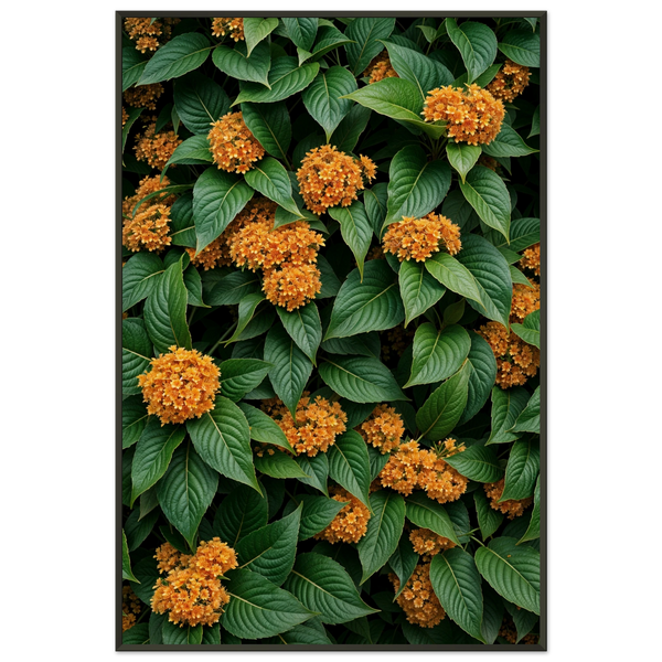 Orange Bloom Burst - Floral Cluster Framed Poster - - Metal Framed Posters