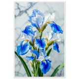 Blue Iris Wooden Poster – A Gift for Flower Lovers - - Wooden Framed Posters