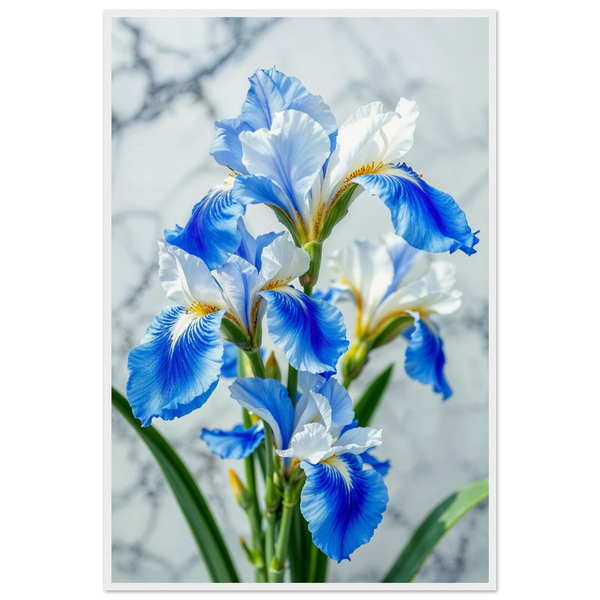 Blue Iris Wooden Poster – A Gift for Flower Lovers - - Wooden Framed Posters