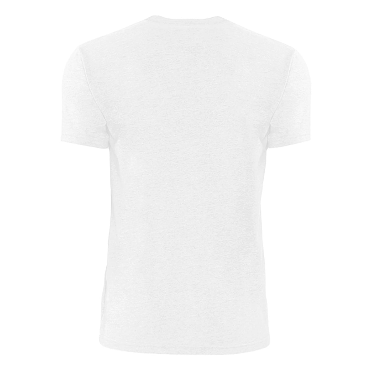 Organic Unisex Heavyweight Crewneck T-Shirt | Next Level 4600 - - T-Shirt