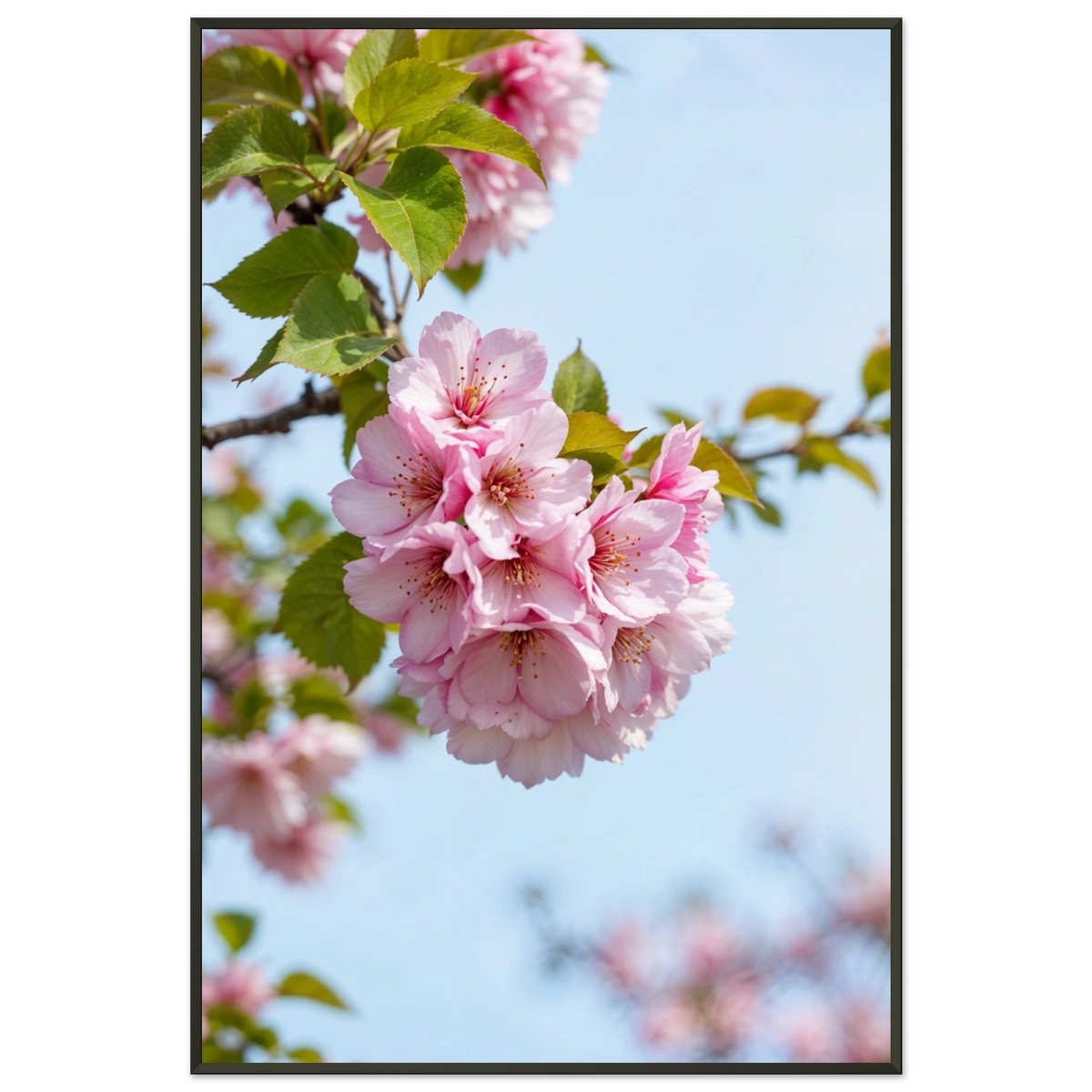 Cherry Blossom Metal Framed Poster – A Gift of Gentle Beauty - Default Title - Metal Framed Posters