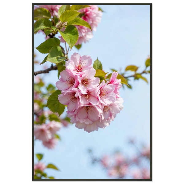 Cherry Blossom Metal Framed Poster – A Gift of Gentle Beauty - Default Title - Metal Framed Posters