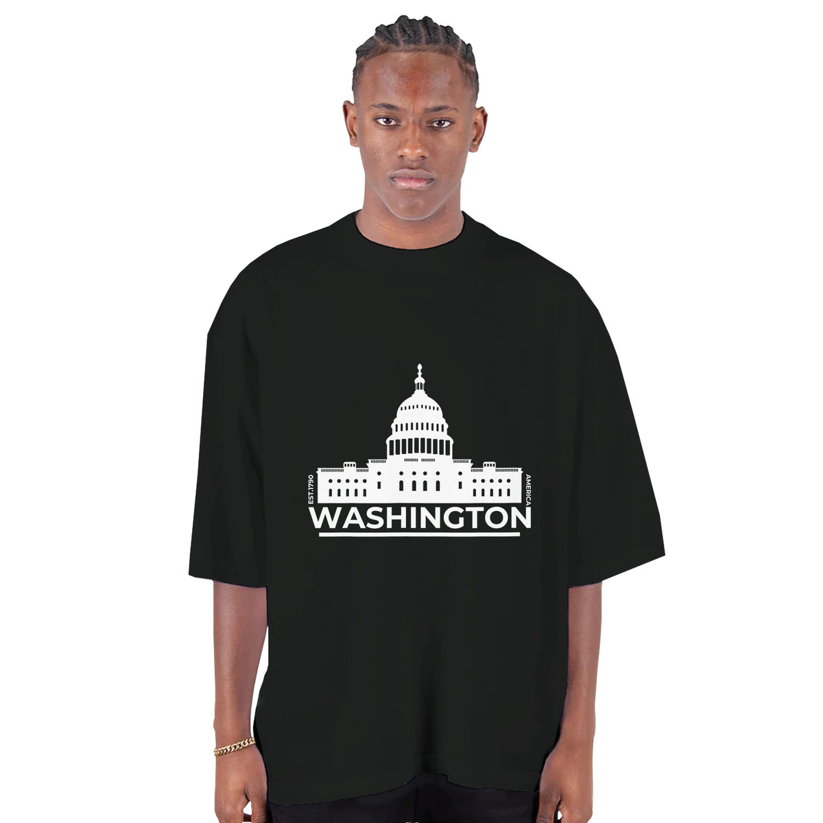 Capitol Elegance - Washington Pride Tee - shadow - T-shirts