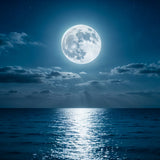 Midnight Tranquility - Wooden and Metal Framed Poster - -