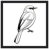 Serenity in Lines - Framed Bird Poster - 30x30 cm 12x12″ Black frame - Framed Posters