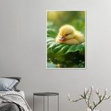 Dreaming Duckling - Serene Nature Framed Art - 60x90 cm 24x36″ White frame - Wooden Framed Posters