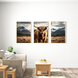 Wild Beauty - Highland Collection - 12x18 - Framed Posters