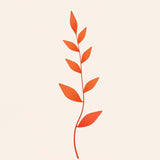 Flourish in Stillness – Elegant Floral Wall Art Pair - -