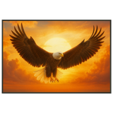 Majestic Eagle at Sunset – Metal Framed Poster - - Metal Framed Posters