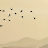 Flight Beneath the Desert Sun - Framed Poster - - Wooden Framed Posters