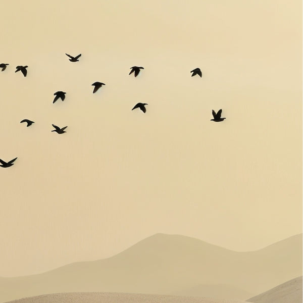 Flight Beneath the Desert Sun - Framed Poster - - Wooden Framed Posters