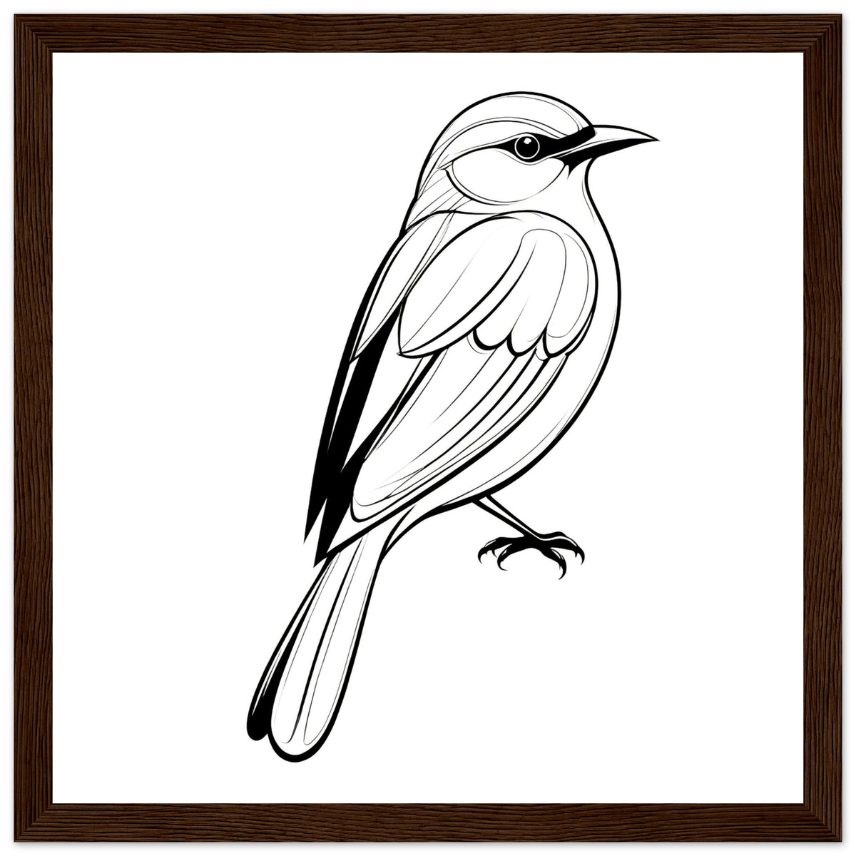 Serenity in Lines - Framed Bird Poster - 30x30 cm 12x12″ Dark wood frame - Framed Posters