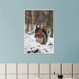 Nature’s Charm - Winter Squirrel Framed Wall Art - - Framed Posters