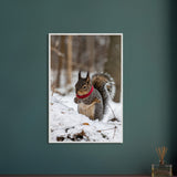 Nature’s Charm - Winter Squirrel Framed Wall Art - - Framed Posters