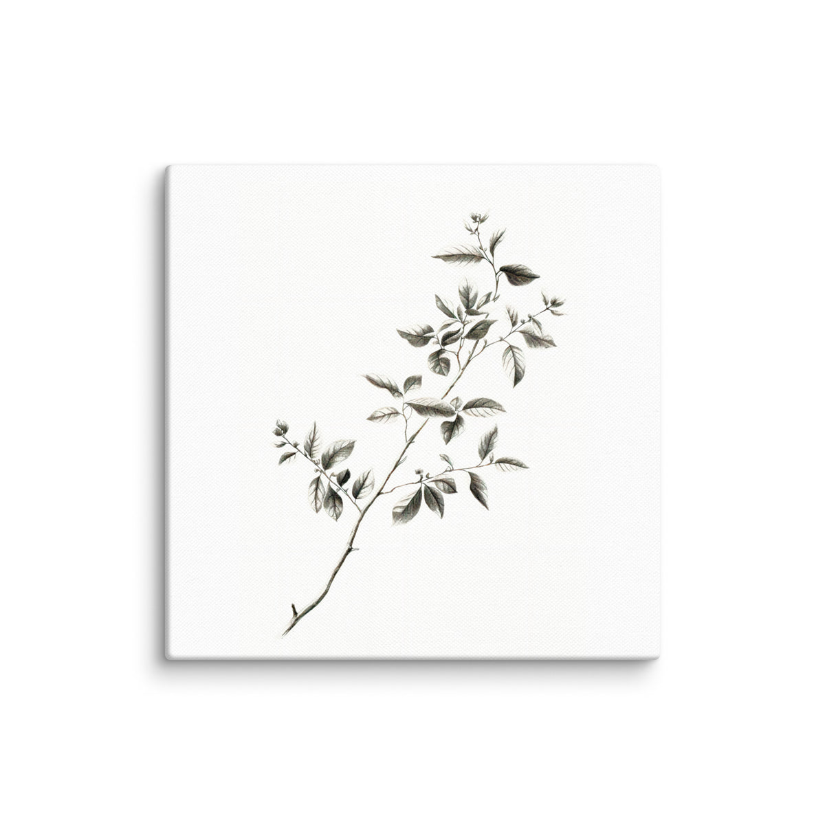 Whispering Leaves - Minimalist Nature Art - 16″×16″ - Canvas