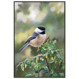 Serene Perch - A Portrait of Nature's Charm - - Framed Posters