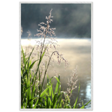 Morning Dew River View – Wooden Poster for Her - - Wooden Framed Posters