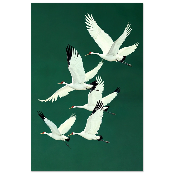 Cranes in Harmony – Fine Art Poster Gift - - Posters