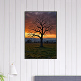 Sunset Solitude - Framed Tree Silhouette Poster - - Metal Framed Posters