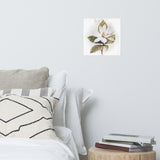 Botanical Beauty - White Magnolia - 12″×12″ - Posters