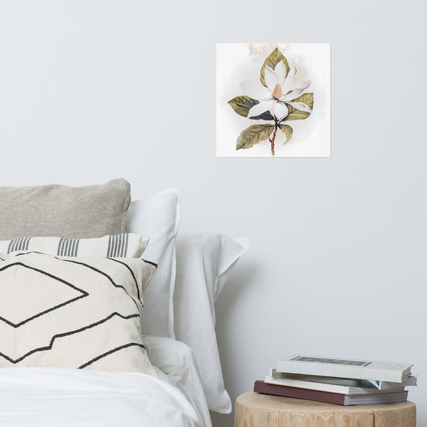 Botanical Beauty - White Magnolia - 14″×14″ - Posters