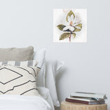 Botanical Beauty - White Magnolia - 16″×16″ - Posters