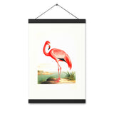 Radiant Flamingo - Tropical Elegance - 12″×18″ - Poster With Hanger