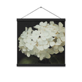 Elegant Hydrangeas - Serenity in Bloom Wall Art - - Posters With Hanger