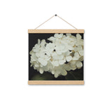 Elegant Hydrangeas - Serenity in Bloom Wall Art - Oak 12″×12″ - Posters With Hanger