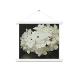 Elegant Hydrangeas - Serenity in Bloom Wall Art - White 14″×14″ - Posters With Hanger