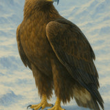 Arctic Majesty – Glossy Framed Eagle & Polar Bear - Gold Metal Glossy Photo - Framed Posters