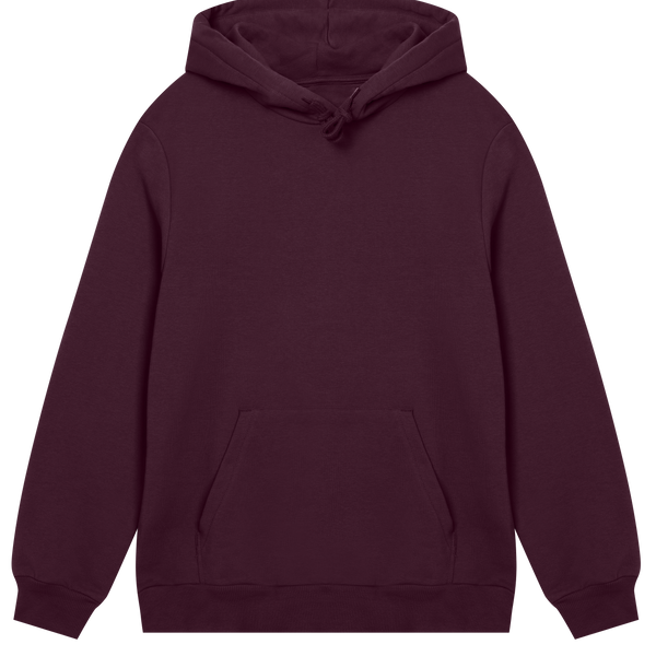 Expressive Energy - The Flame Hoodie - Maroon men - Hoodies