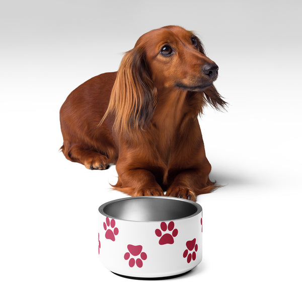 Pawsitively Memorable Pet Bowl - -