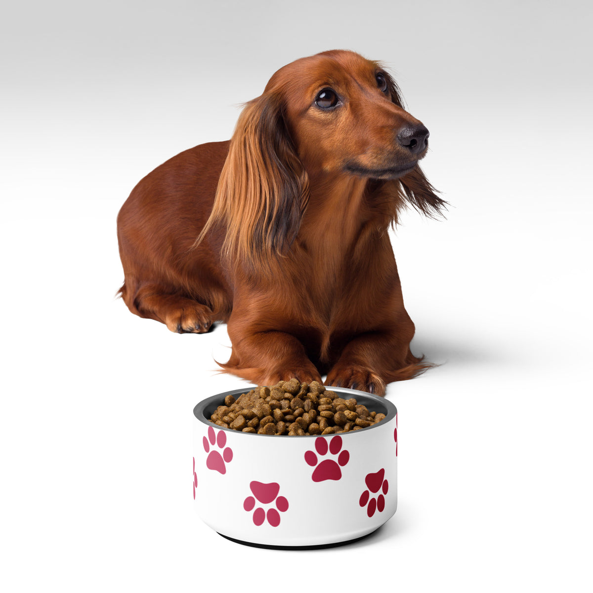 Pawsitively Memorable Pet Bowl - 18 oz -