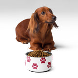 Pawsitively Memorable Pet Bowl - 18 oz -