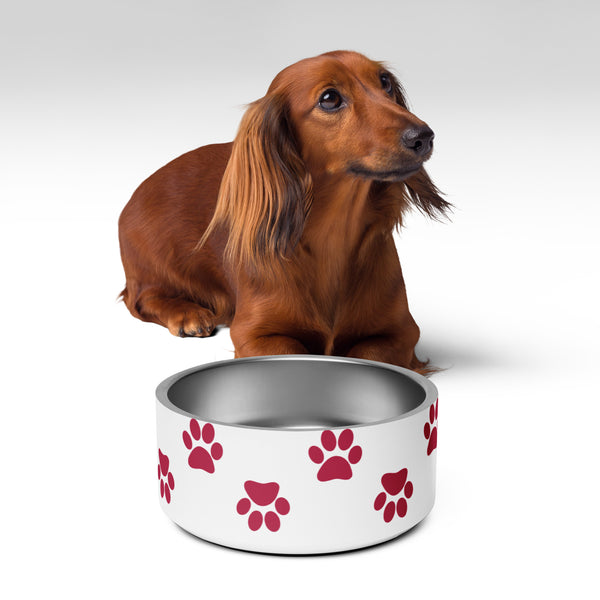 Pawsitively Memorable Pet Bowl - -