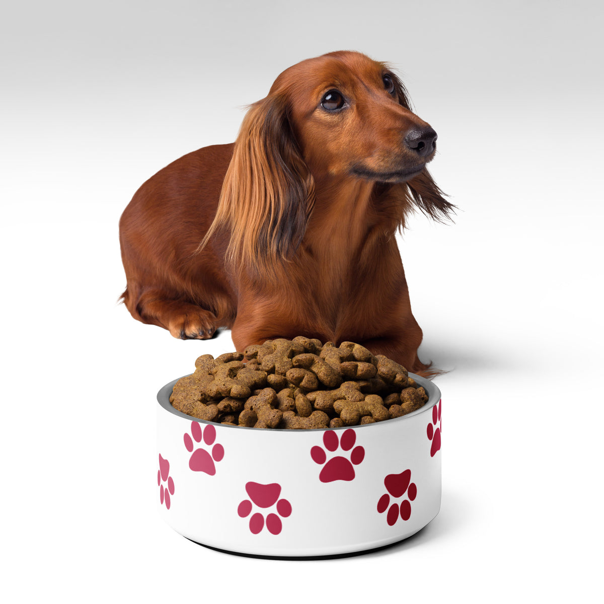 Pawsitively Memorable Pet Bowl - 32 oz -