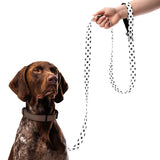 Memory Lane Pet Leash - Cherish Every Step - Default Title - Pet Leash