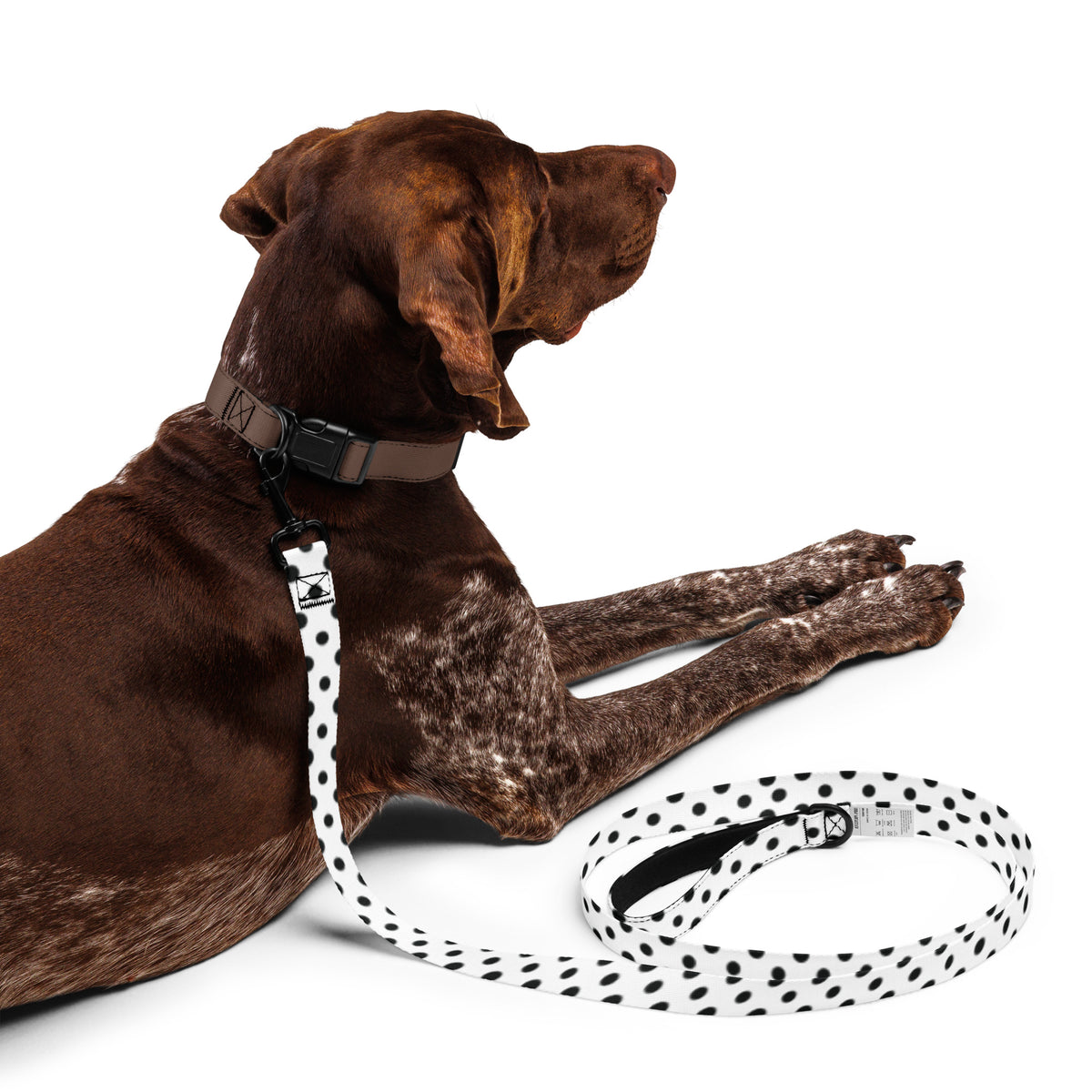 Memory Lane Pet Leash - Cherish Every Step - - Pet Leash