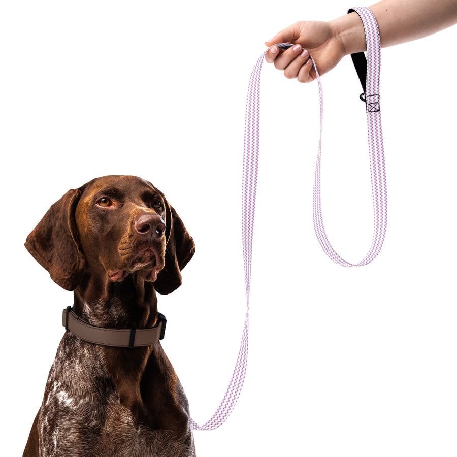 Gifted Strolls – Emotional Pet Leash Design - Default Title - Pet Leashes