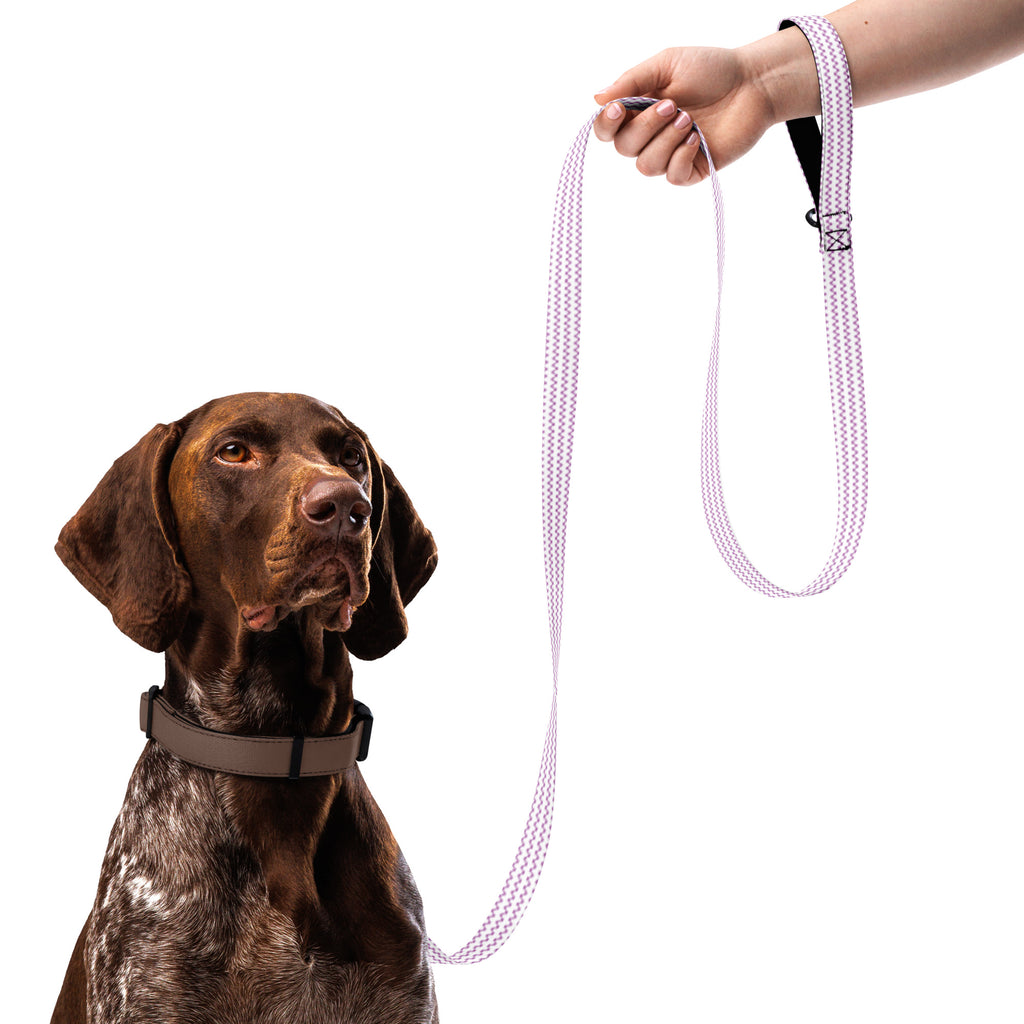 Enchanting Echoes - Pet Leash with Heartfelt Design - Default Title - Pet Leashes