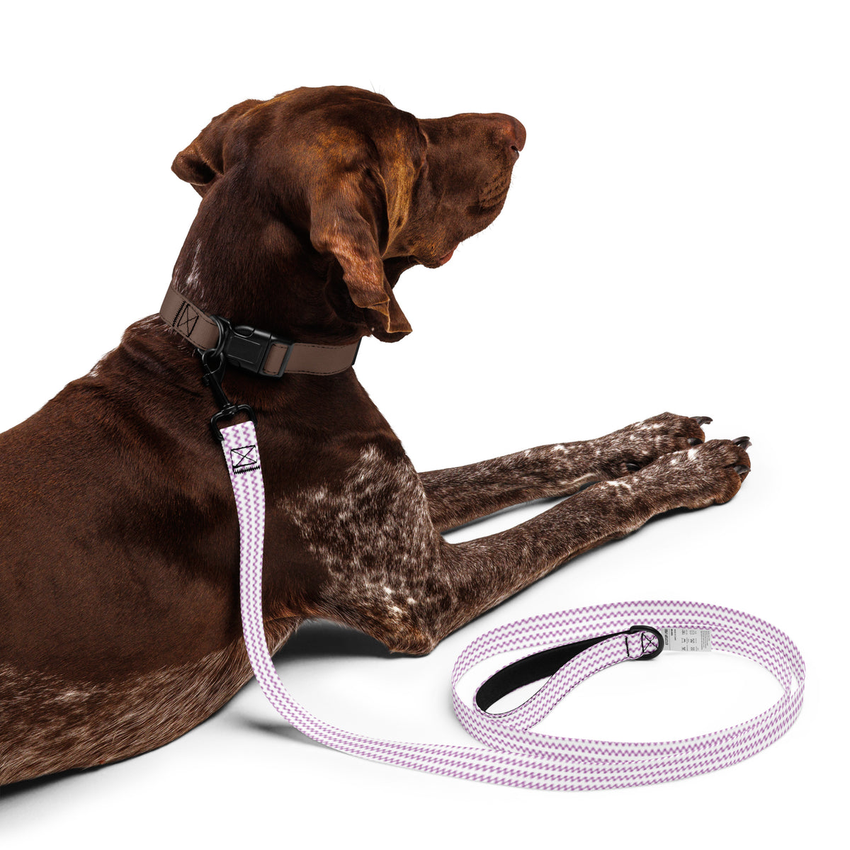 Enchanting Echoes - Pet Leash with Heartfelt Design - - Pet Leashes