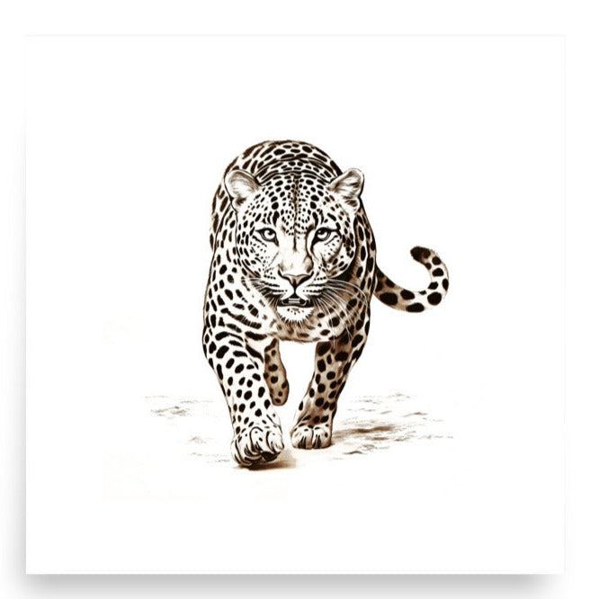 Wild Grace - Framed White Tiger Art - 10″×10″ - Paper Posters